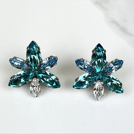 Aqua Earrings